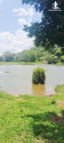 Land for Sale in Kurunegala - Land for Sale in Kurunegala - photo 3