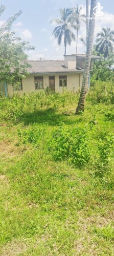 Land for Sale in Kurunegala - Land for Sale in Kurunegala - photo 4