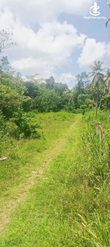 Land for Sale in Kurunegala - Land for Sale in Kurunegala - photo 5
