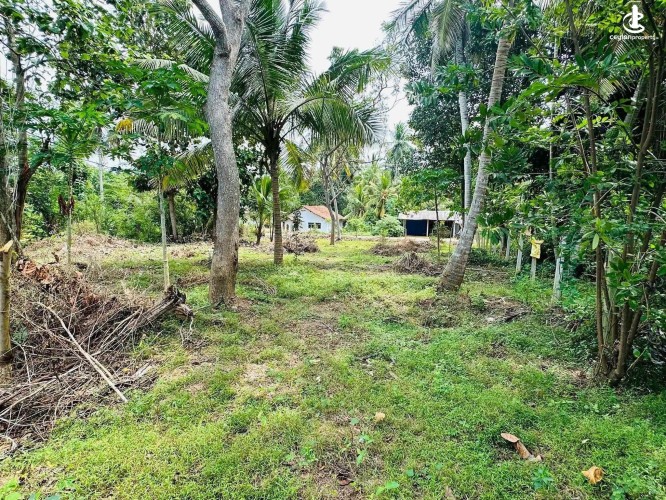 Land for Sale in Kataragama - Land for Sale in Kataragama - photo 1