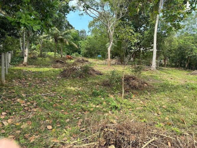 Land for Sale in Kataragama - Land for Sale in Kataragama - photo 2