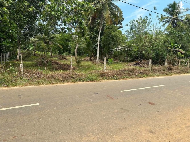 Land for Sale in Kataragama - Land for Sale in Kataragama - photo 4