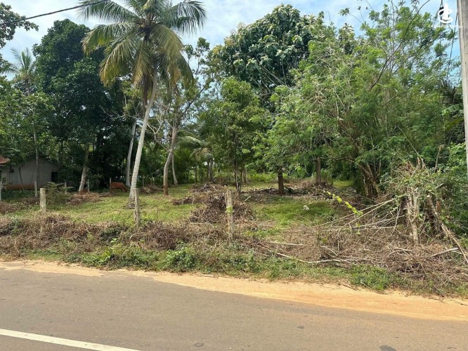 Land for Sale in Kataragama - Land for Sale in Kataragama - photo 5