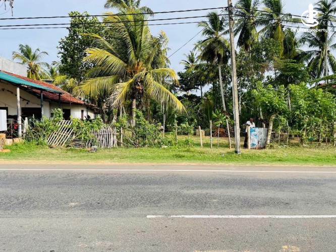 Land for Sale in Kataragama - Land for Sale in Kataragama - photo 1