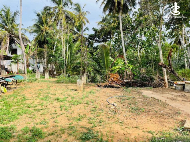 Land for Sale in Kataragama - Land for Sale in Kataragama - photo 2