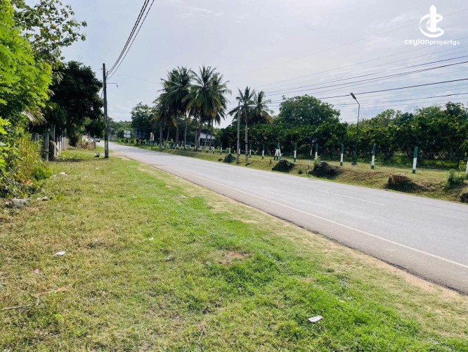 Land for Sale in Kataragama - Land for Sale in Kataragama - photo 3