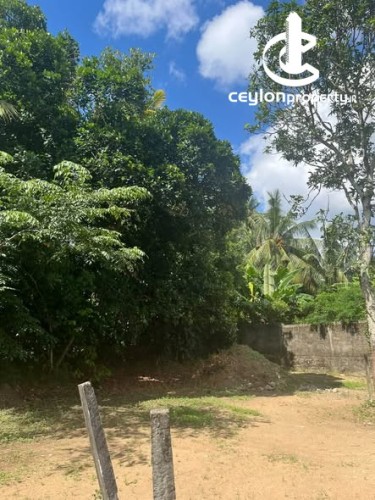 Land for Sale in Hokandara - 8 Perch Land for Sale – Hokandara - photo 4