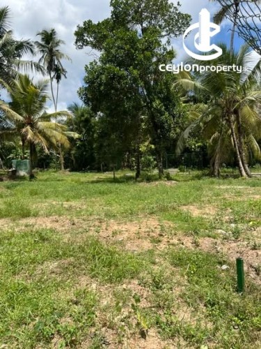 Land for Sale in Athurugiriya - Land for Sale Athurugiriya - photo 1