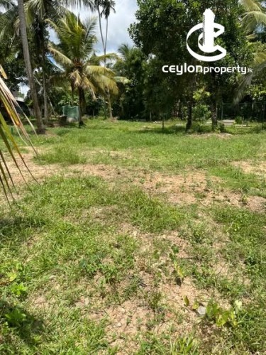 Land for Sale in Athurugiriya - Land for Sale Athurugiriya - photo 3
