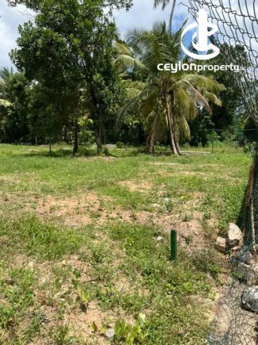 Land for Sale in Athurugiriya - Land for Sale Near Millennium City, Athurugiriya - photo 2