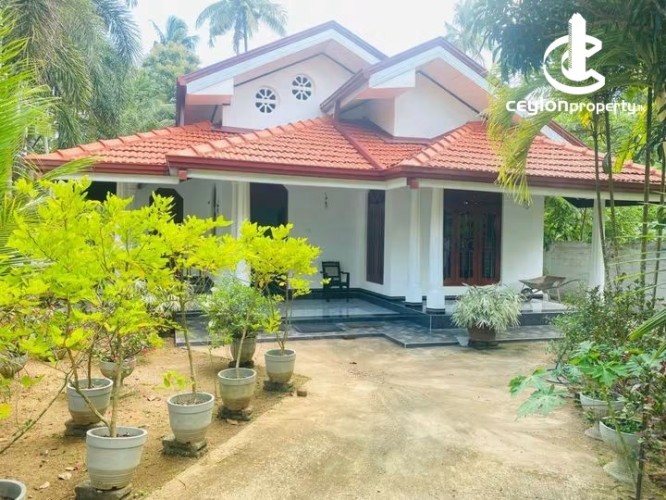 House for Sale in Pannala - House for sale in pannala - photo 1