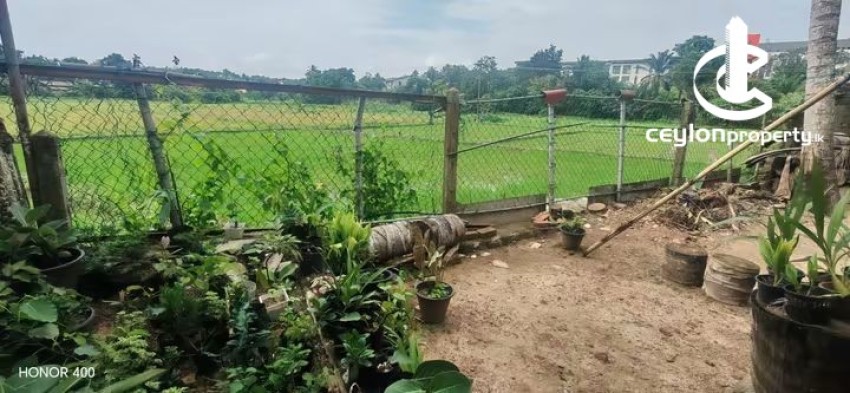 House for Sale in Kottawa - House for sale in Kottawa - photo 4