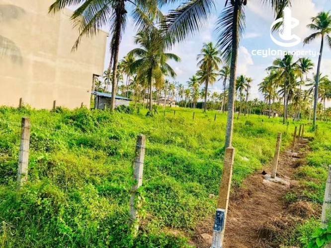 Land for Sale in Kurunegala - Land for Sale in Kurunegala - photo 3