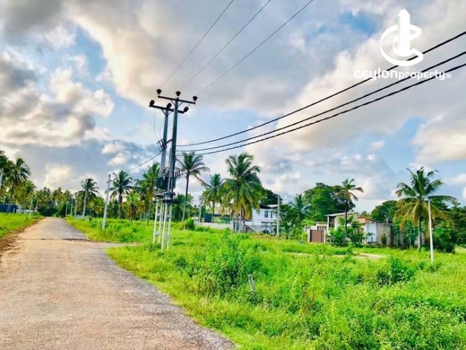 Land for Sale in Kurunegala - Land for Sale in Kurunegala - photo 5