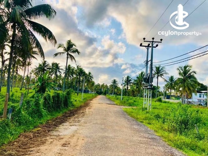 Land for Sale in Kurunegala - Land for Sale in Kurunegala - photo 4