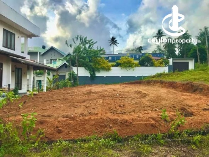 Land for Sale in Horana - Land for Sale in Horana - photo 4
