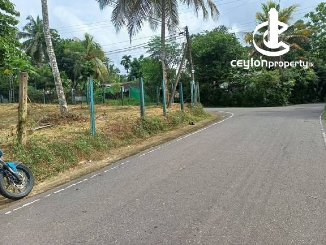 House for Sale in Gampaha - House for Sale in Gampaha - photo 3