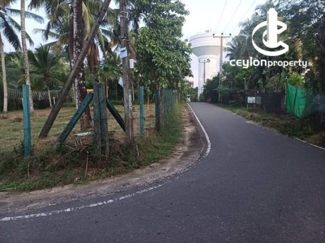 House for Sale in Gampaha - House for Sale in Gampaha - photo 5