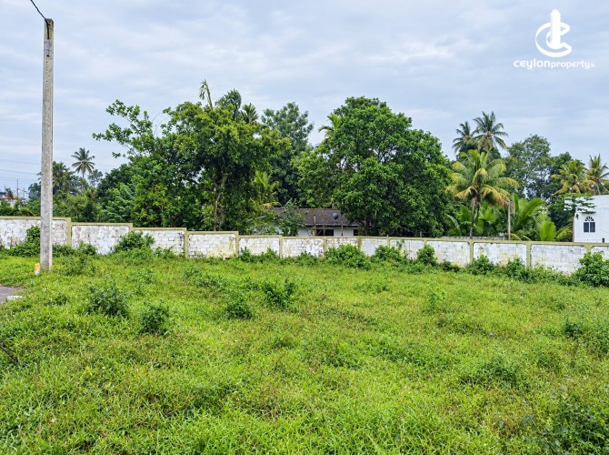 Land for Sale in Badulla - Land for Sale in Badulla - photo 3