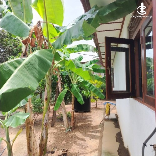 House for Sale in Kandana - House for sale in Kandana - photo 4