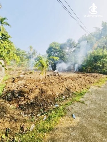 Land for Sale in Kalutara - Land for sale in Kalutara - photo 1