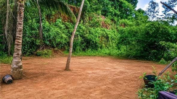 Land for Sale in Minuwangoda - Land for sale in Minuwangoda - photo 2