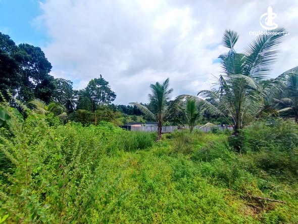 Land for Sale in Colombo 15 (Mattakkuliya) - Land for Sale in Colombo - photo 2