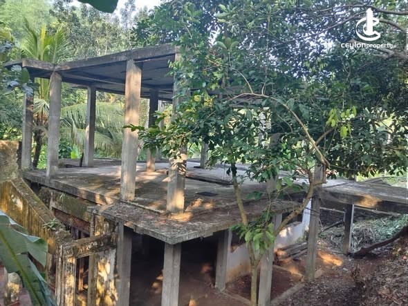 House for Sale in Kurunegala - House for Sale in Kurunegala - photo 1