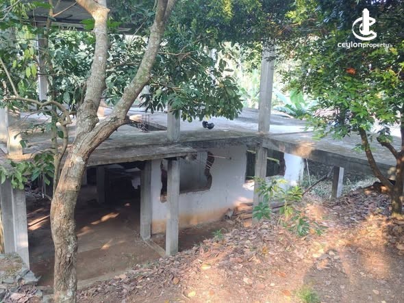 House for Sale in Kurunegala - House for Sale in Kurunegala - photo 2