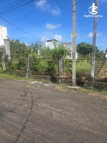 Land for Sale in Pannipitiya - Land for Sale in Pannipitiya - photo 1