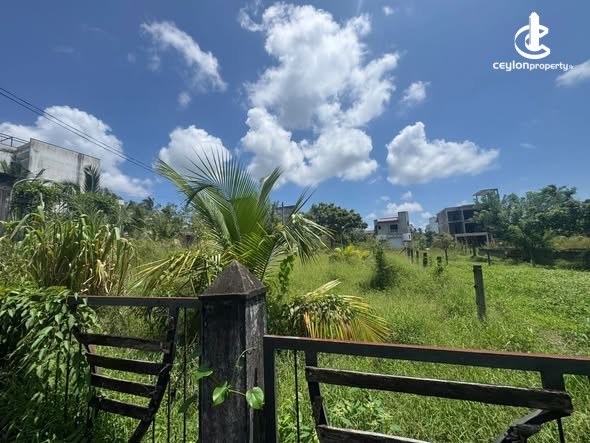 Land for Sale in Pannipitiya - Land for Sale in Pannipitiya - photo 2