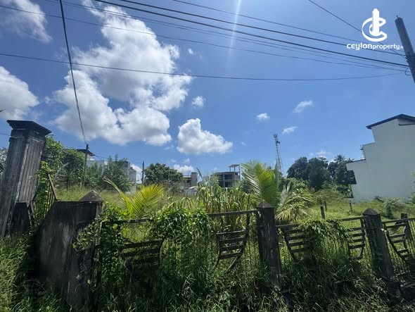 Land for Sale in Pannipitiya - Land for Sale in Pannipitiya - photo 3