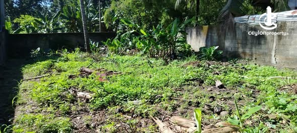 Land for Sale in Hokandara - Land for Sale in Hokandara - photo 2
