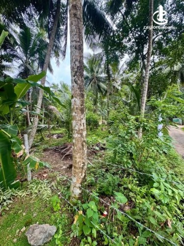 Land for Sale in Horana - Land for Sale in Horana - photo 1