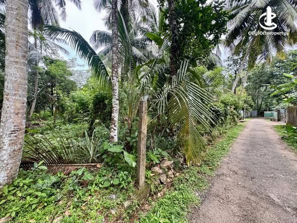Land for Sale in Horana - Land for Sale in Horana - photo 2