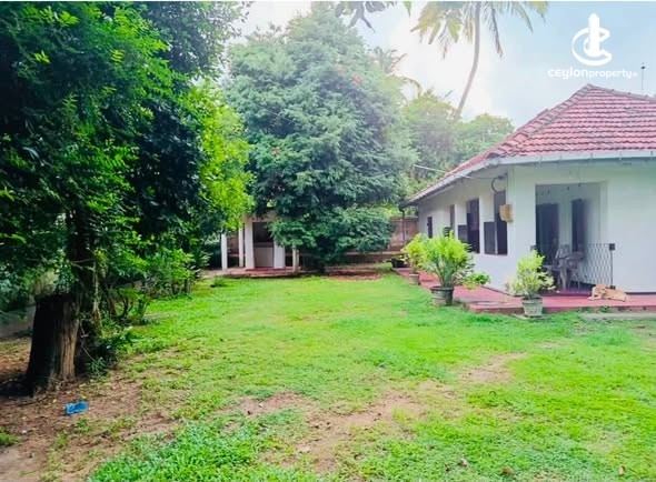 House for Sale in Katunayake - House for Sale in Katunayake - photo 2