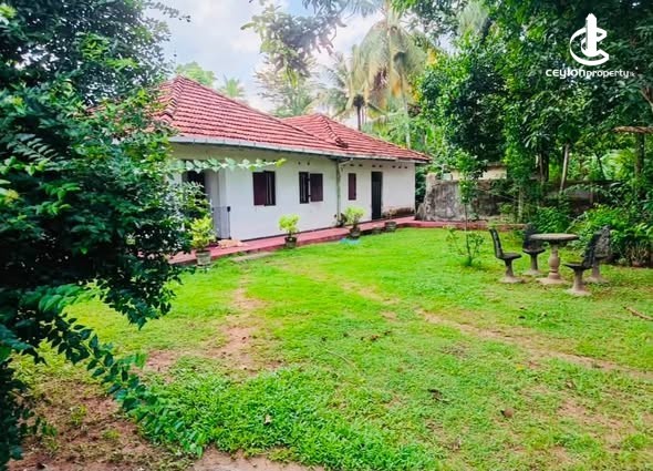 House for Sale in Katunayake - House for Sale in Katunayake - photo 3