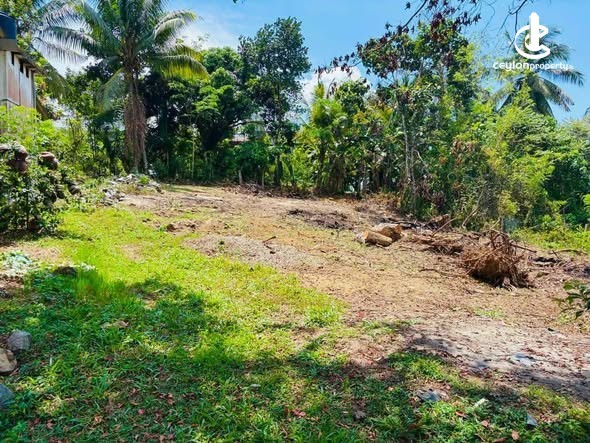 House for Sale in Katunayake - House for Sale in Katunayake - photo 4