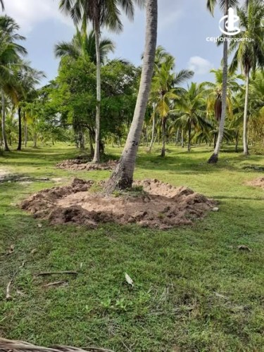 Land for Sale in Chilaw - Land for Sale in Chilaw - photo 2