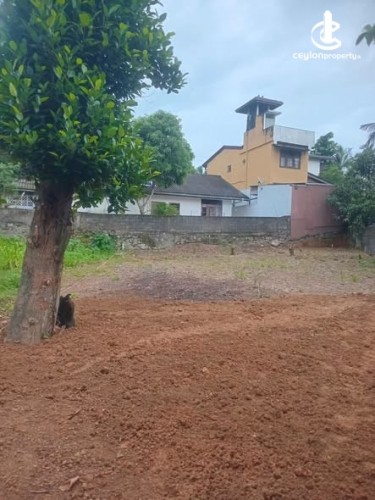 Land for Sale in Pannipitiya - Land for Sale in Pannipitiya - photo 1