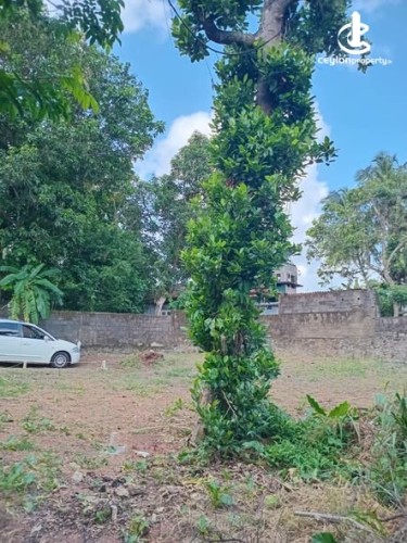 Land for Sale in Pannipitiya - Land for Sale in Pannipitiya - photo 2