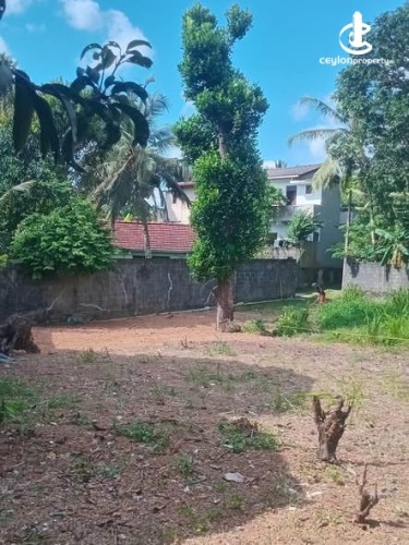Land for Sale in Pannipitiya - Land for Sale in Pannipitiya - photo 3