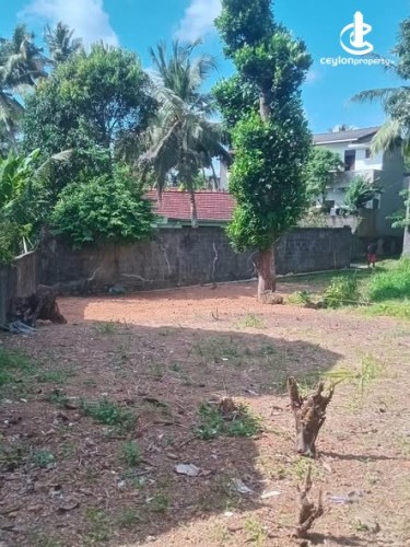 Land for Sale in Pannipitiya - Land for Sale in Pannipitiya - photo 4