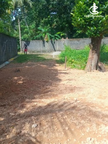 Land for Sale in Pannipitiya - Land for Sale in Pannipitiya - photo 5