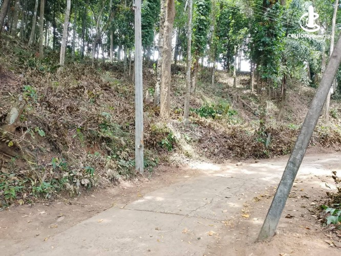 Land for Sale in Kandy - Land for sale in Kandy - photo 3