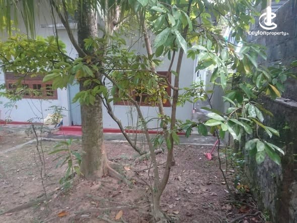 House for Sale in Piliyandala - House for Sale in Piliyandala - photo 2