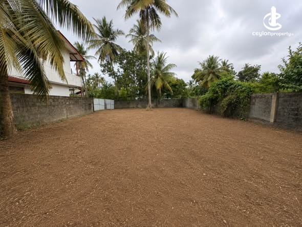 Land for Sale in Piliyandala - Land for Sale in Piliyandala - photo 3