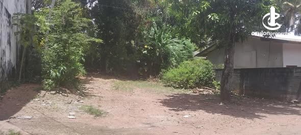 Land for Sale in Nugegoda - Land for Sale in Nugegoda - photo 4