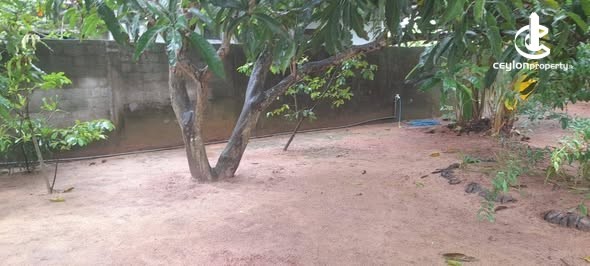 Land for Sale in Negombo - Land for Sale in Negombo - photo 3