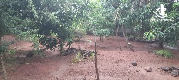 Land for Sale in Negombo - Land for Sale in Negombo - photo 2